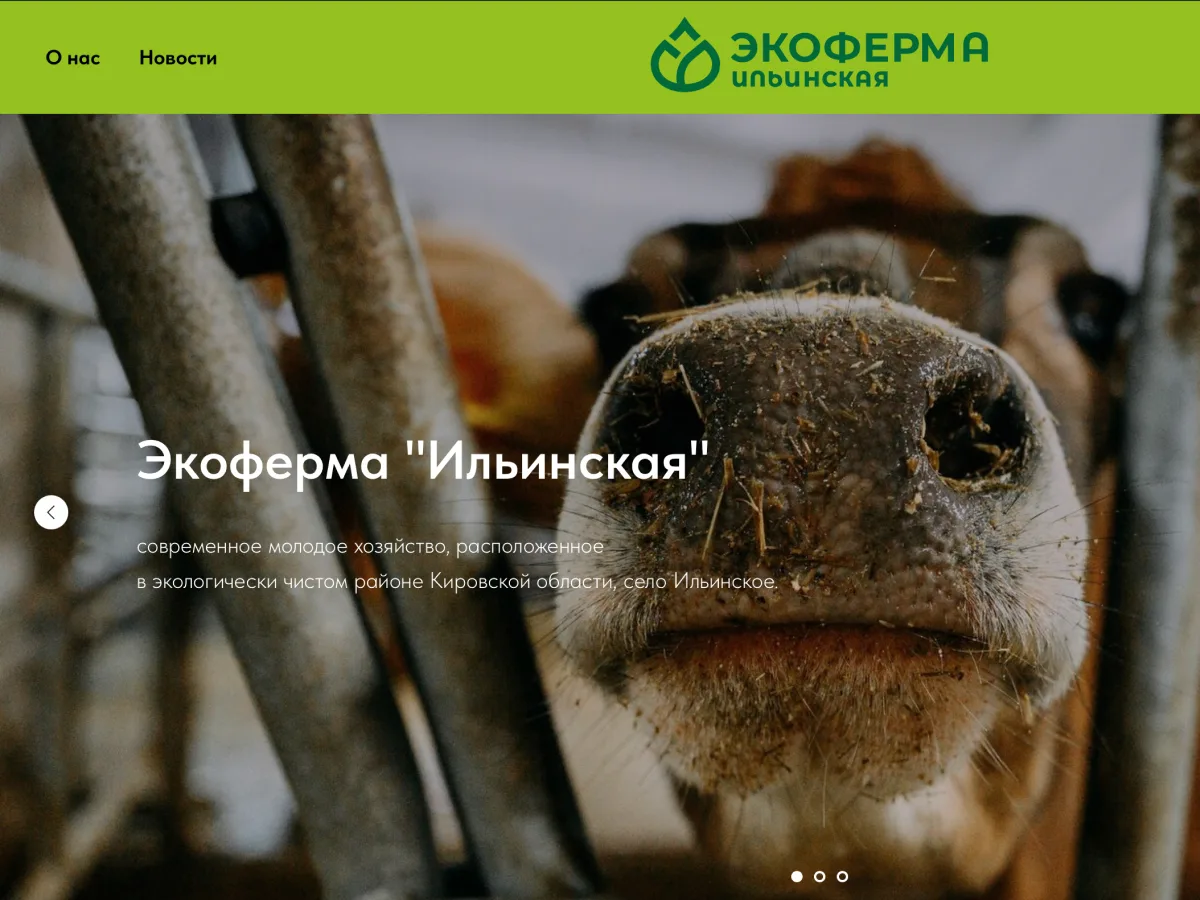 Экоферма «Ильинская» — сайт-визитка на Tilda — фото 2